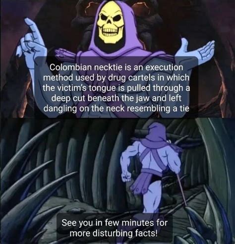 Skeletor Facts Memes Are Unsettling But Funny 22 Memes