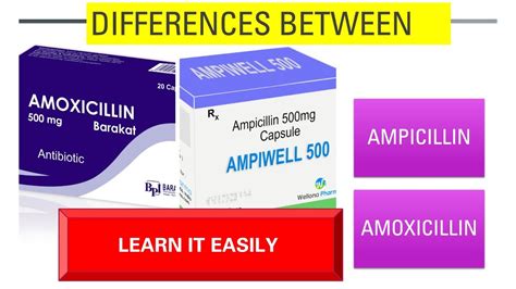 Ampicillin Vs Amoxicillindifferencesemisynthetic Penicillin Youtube