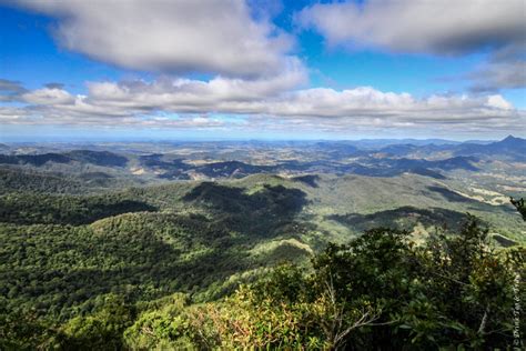 The Ultimate Day Trip To The Gold Coasts Springbrook National Park