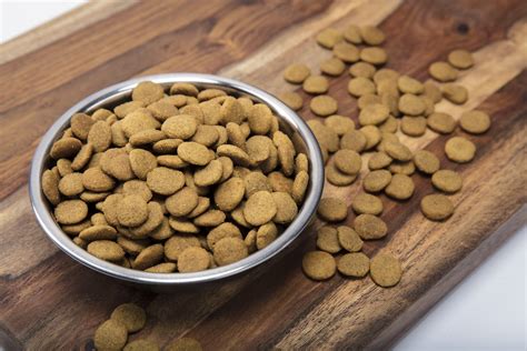 As you know, there's no shortage of dog food recipes. Nutro Wholesome Essentials Large Breed Puppy Farm Raised ...