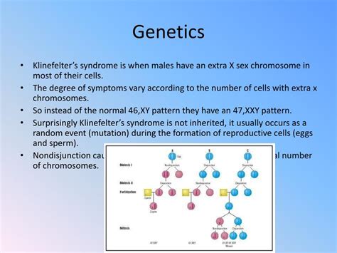 ppt klinefelter s syndrome powerpoint presentation free download id 6730569