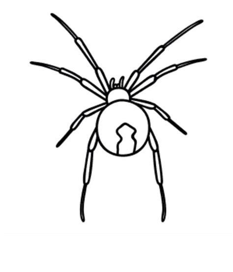 Black Widow Spider Coloring Pages