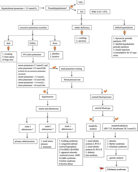 Diagnostic Approach To Hypokalemia Download Scientific Diagram