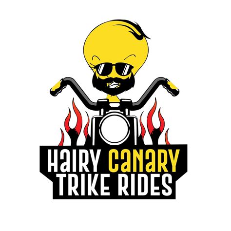 Hairy Canary Trike Rides At Culburra Beach