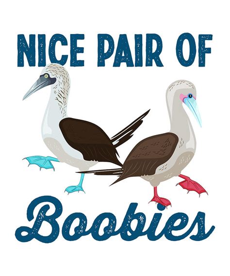 Nice Pair Of Boobies Funny Booby Bird T Digital Art By Philip Anders