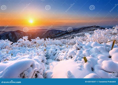 Sunrise On Deogyusan Mountains Covered With Snow In Winterkorea Stock