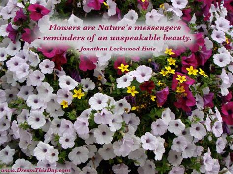 Everyone knows the phrase, a rose by any other name would smell as sweet. Beautiful Flower Quotes. QuotesGram
