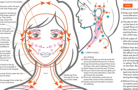 Facial Lymph Massage Direction Guide Poster Printable Etsy Uk