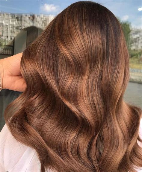 The Most Stunning Fall Winter Hair Colour Ideas For Brunettes Hair