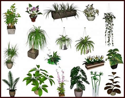 Decor Plant Set Nr4 By Clio Free Sims 3 Decor Downloads