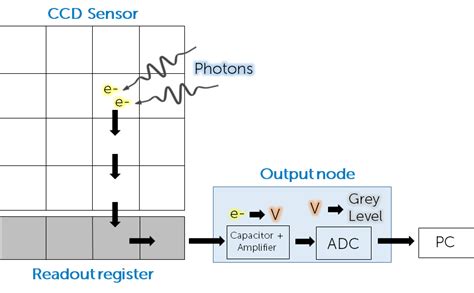 Types Of Camera Sensor