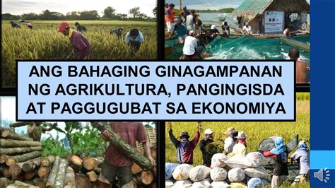 Kasaysayan At Pagunlad Ng Agrikultura Sa Pilipinas Youtube Estado Vrogue