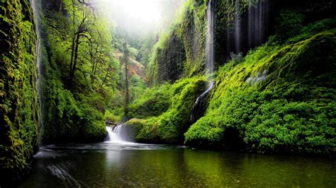 Wallpaper Oregon Fiume Acqua Cascate Natura Foresta Boschi Verde