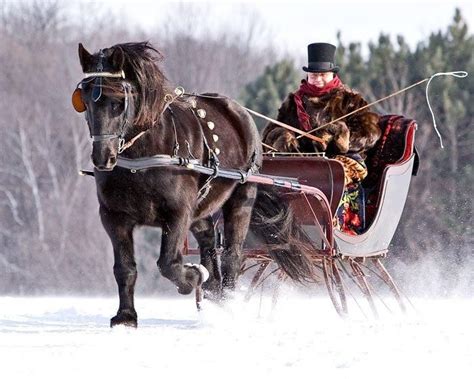 Now The Ground Is White A One Horse Open Sleigh Ride Artofit