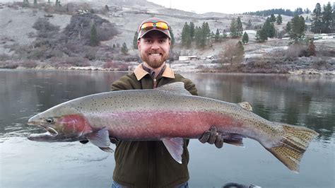 Washington State Trout Fishing Season All About Fishing