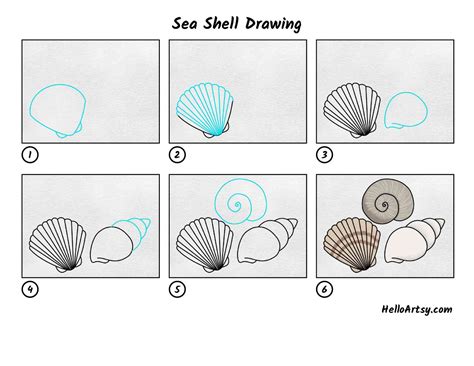 Easy Shells To Draw Easy To Draw Seashells Nardi Pasm1991