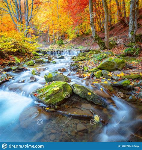 Colorful Autumn Landscape River Waterfall In Colorful Autumn Forest