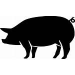 Silhouette Svg Pig Clipart Icon Boar Wild