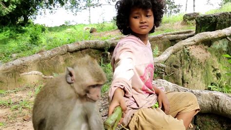 Smart Girl And Funny Monkey Amazing Monkey Meeting Beautiful Girl
