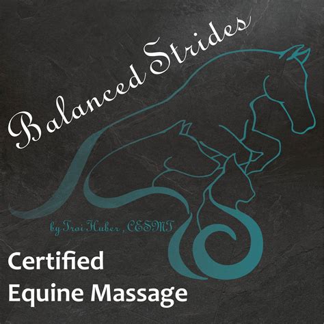Balanced Strides Equine Massage and Wellness | Greenville SC
