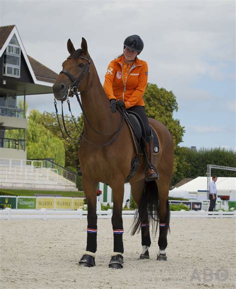 Voets, who won gold in the grade iii individual freestyle at the rio 2016 paralympic games, has dominated in recent years and is already world and european. Tranen en gouden Kürmedaille bij Sanne Voets - Horses.nl