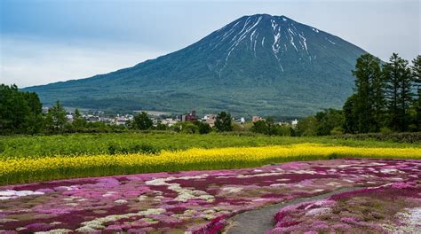 Visita Parque Nacional Shikotsu Toya En Hokkaido Expediamx