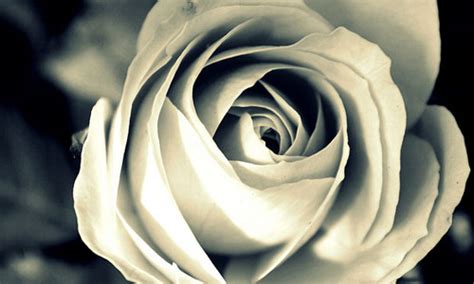 10 Reasons Why Inner Beauty is More Important Than Outer
