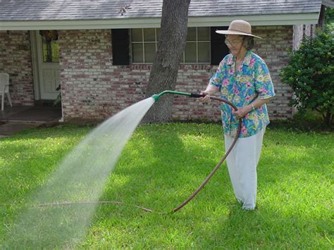 1 should we water a lawn when the temperature is cold? PLANTanswers: Plant Answers > BROWN SPOTS IN THE LAWN AND ...