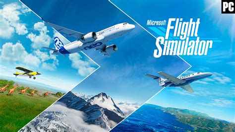 Microsoft Flight Simulator Pc Sourcepooter