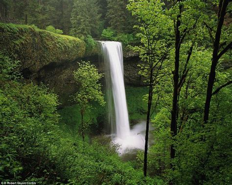 These Are The Worlds Most Incredible Waterfalls Silver Falls State