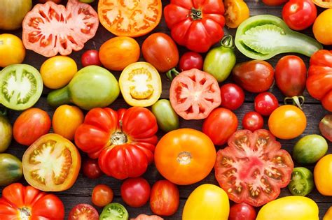 Italian Tomatoes Exports Increase In Europeitalian Feelings