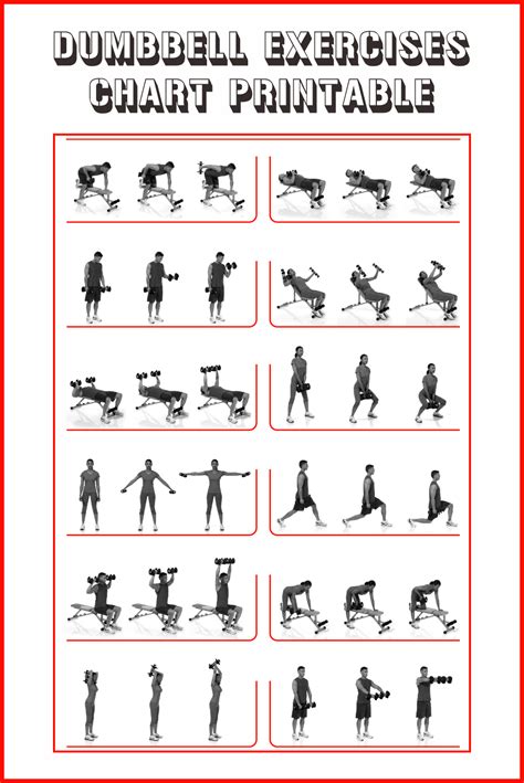 Dumbbell Exercises Workout 2 Poster Professional Wall Chart Combo