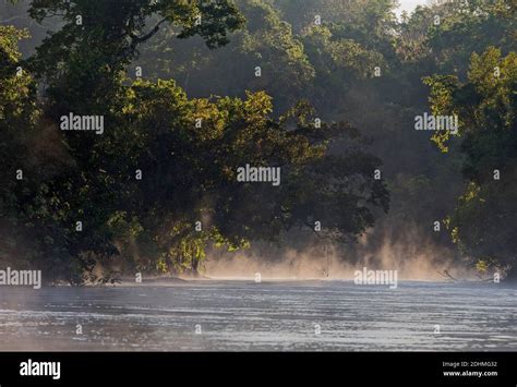 Tropical Rainforest Surrounding Cristalino River Southern Amazon