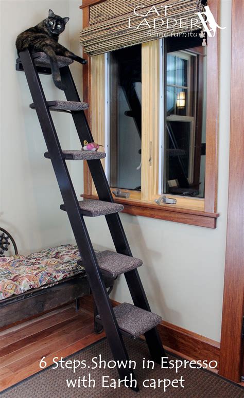 How to make cat stairs diy. 6 Step Cat Ladder | Cat ladder, Decor, Cat diy