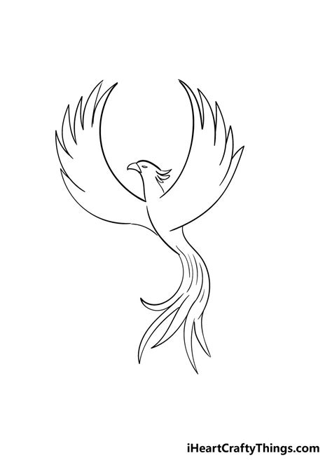 Phoenix Drawing Bird Line Drawing Drawings