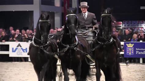 The Kfps Royal Friesian Horse Stallion Show Be There Youtube