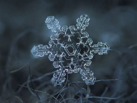Unbelievable Close Up Photos Of Snowflakes Reveal A Side Of Winter You