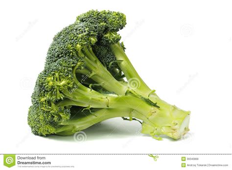 Broccoli On White Stock Photo Image Of Fresh Broccoli 39340868