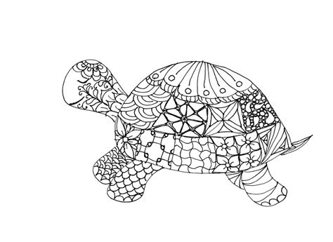 Free Printable Turtle Coloring Pages For Adults Letter Worksheets