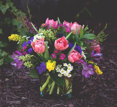 Diana ripped out his eyes and threw them to the ground where they sprouted into the dianthus flower. The Flower Cupboard - Local Florist | Same day delivery ...