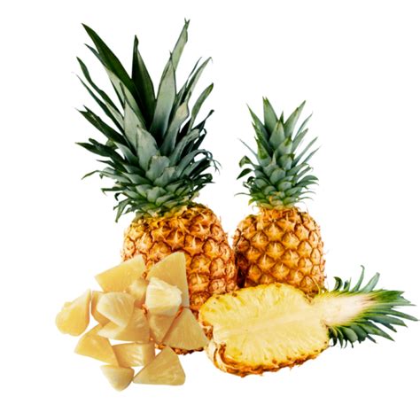 Bulk Pineapple Chunks Freeze Dried Wholesale Importers