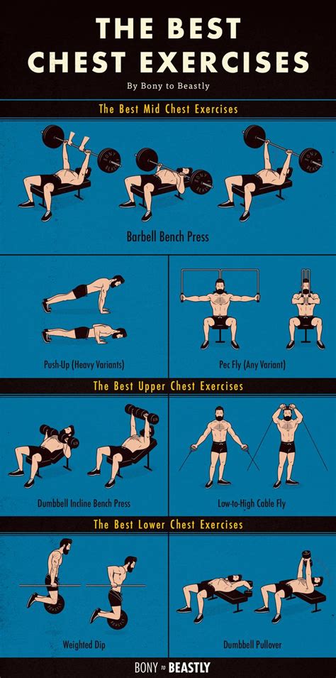 An Illustrated Chart Of The Best Chest Exercises Best Chest Workout Chest Workout Chest And