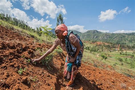 Land Degradation In Rural Tanzania Ballard Brief