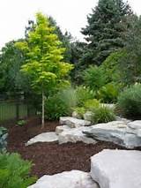 Pictures of Mountain Backyard Landscaping Ideas