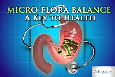 Gut Flora Balance Is Key To Health Health Fluoride