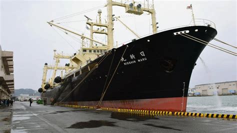 Japan Says It Will Resume Commercial Whaling Fox News
