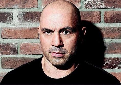 Politics, if not the single most influential. Joe Rogan Height, Age, Wife, Kids, Net worth, Biography ...
