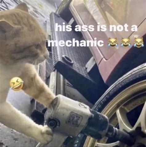 This Cat Is Not A Mechanic Rantimeme