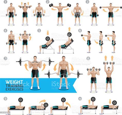 Dumbbell Exercises And Workouts Weight Training Stock