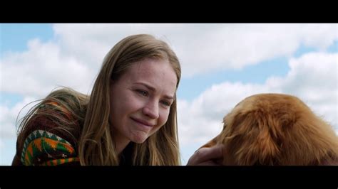 A Dogs Purpose 2017 Official Trailer Youtube
